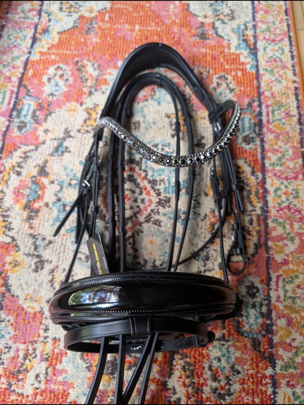 Solo Bridle